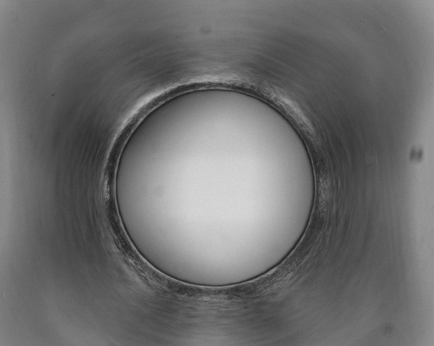 X0000090910628200707301033