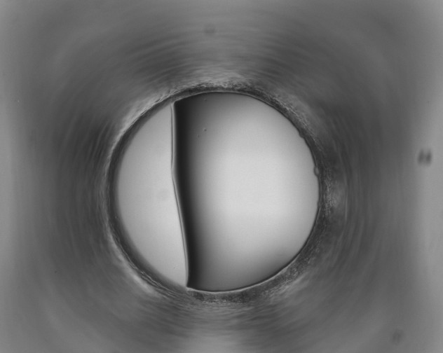 X0000090910630200707301033