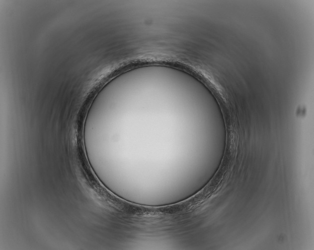 X0000090910631200707301033