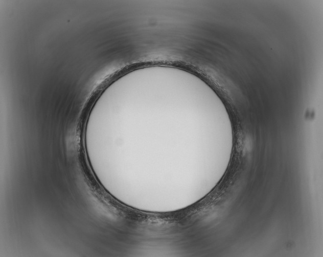 X0000090910632200707301033
