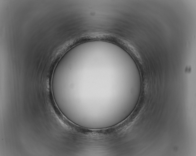 X0000090910633200707301033