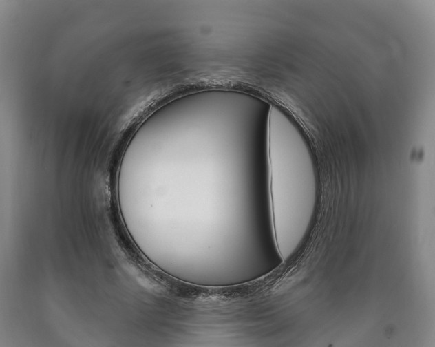 X0000090910634200707301033