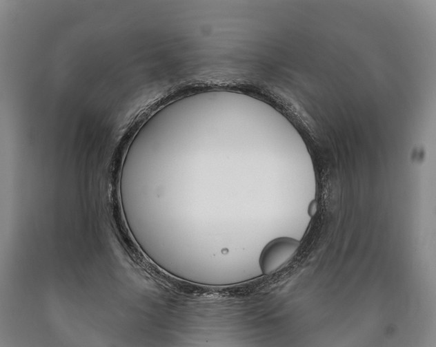 X0000090910635200707301033