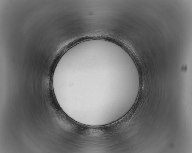 X0000090910636200707301033