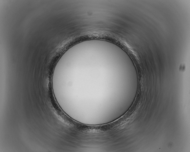 X0000090910637200707301033