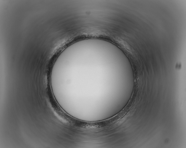 X0000090910638200707301033