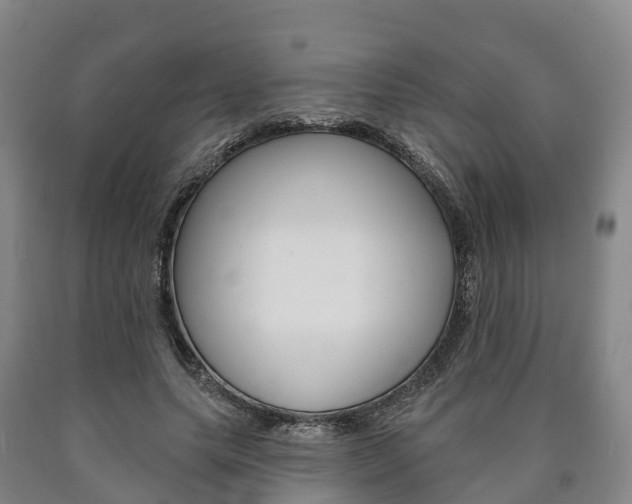 X0000090910639200707301033
