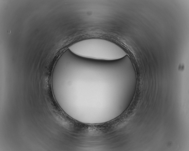 X0000090910641200707301033