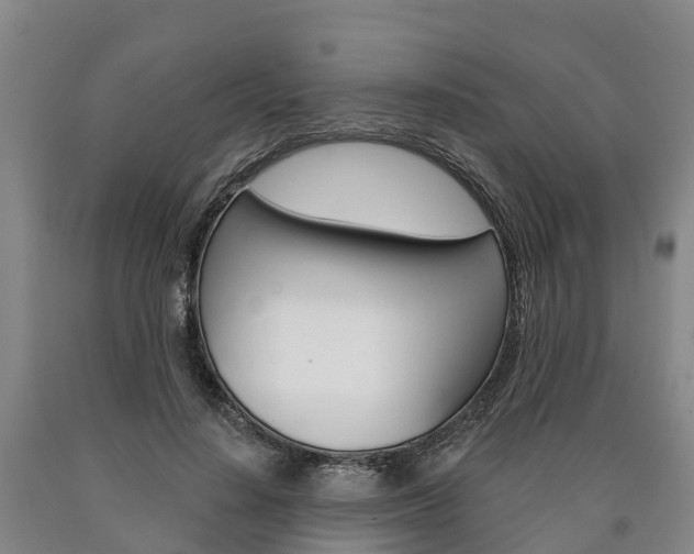 X0000090910644200707301033
