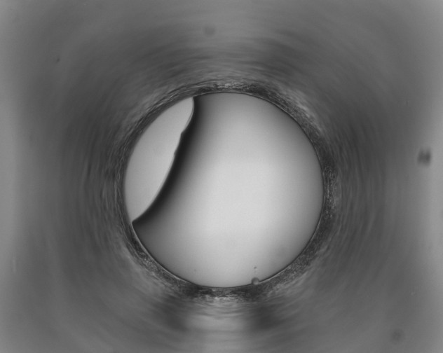 X0000090910645200707301033