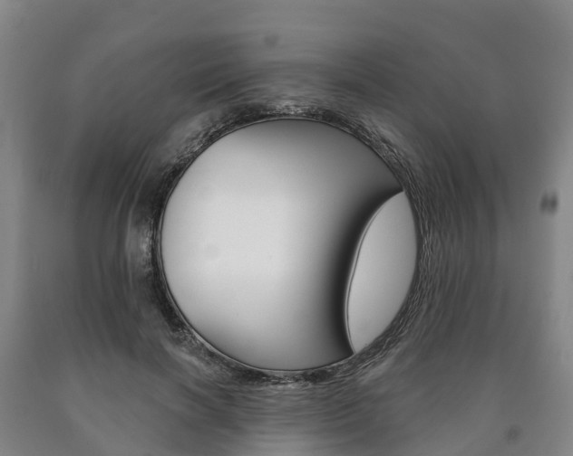 X0000090910646200707301034