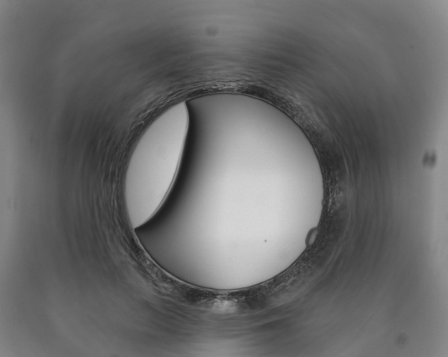 X0000090910647200707301034