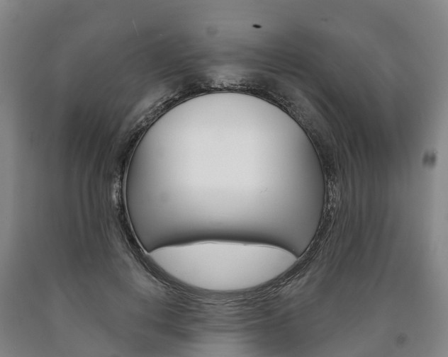 X0000090910648200707301034