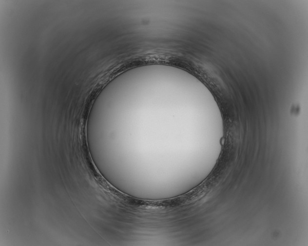 X0000090910649200707301034