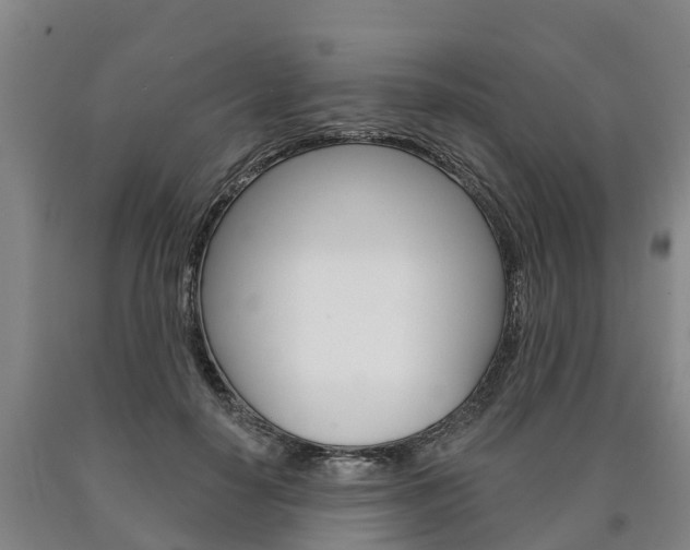 X0000090910650200707301034