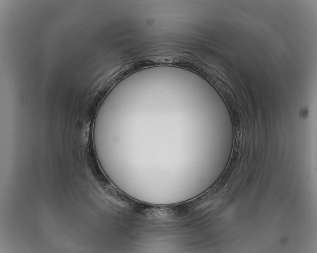 X0000090910652200707301034