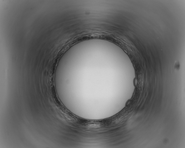 X0000090910653200707301034