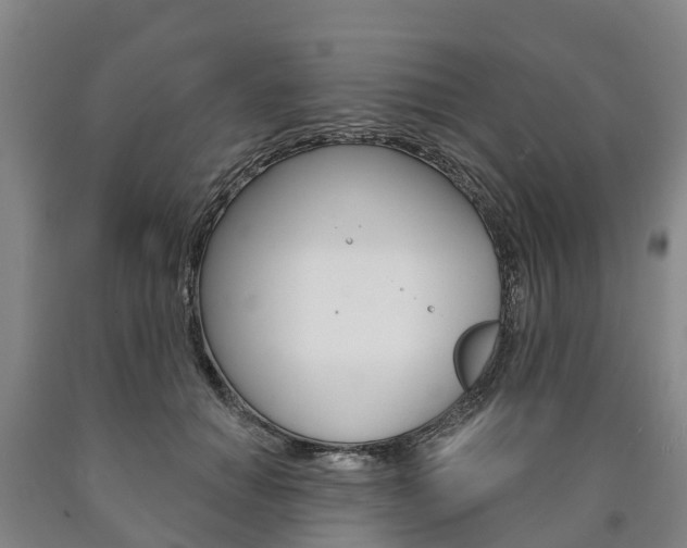 X0000090910654200707301034