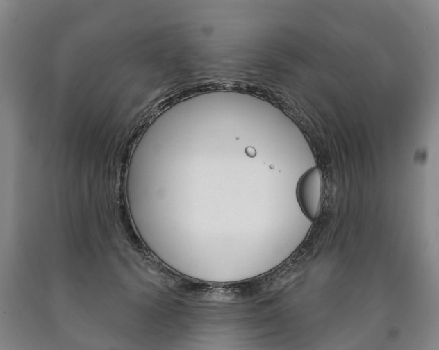 X0000090910656200707301034