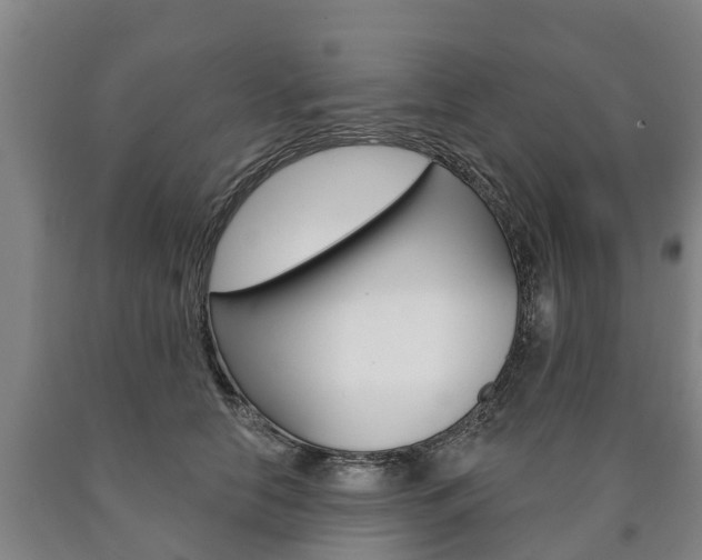 X0000090910658200707301034