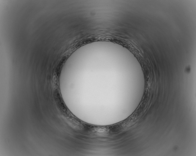 X0000090910659200707301034