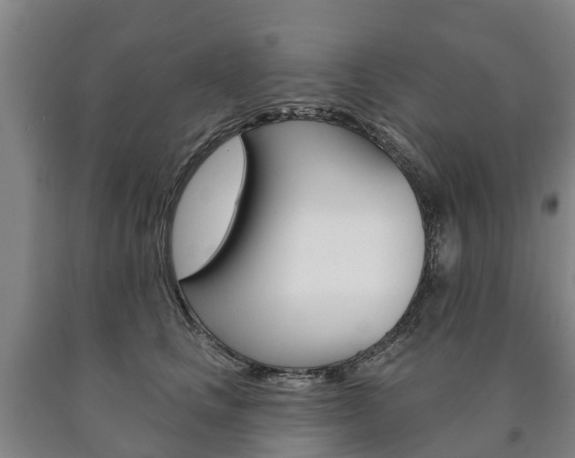 X0000090910661200707301034
