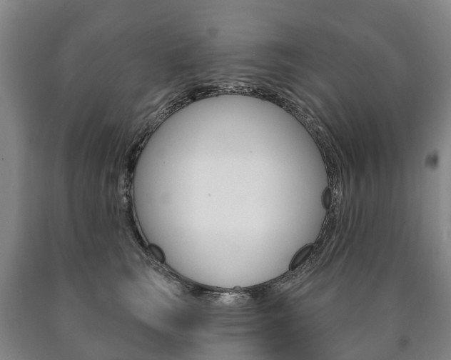 X0000090910663200707301034