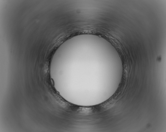 X0000090910665200707301034
