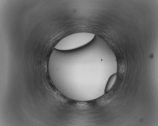 X0000090910666200707301034