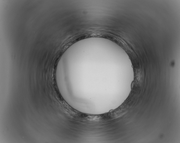 X0000090910667200707301034