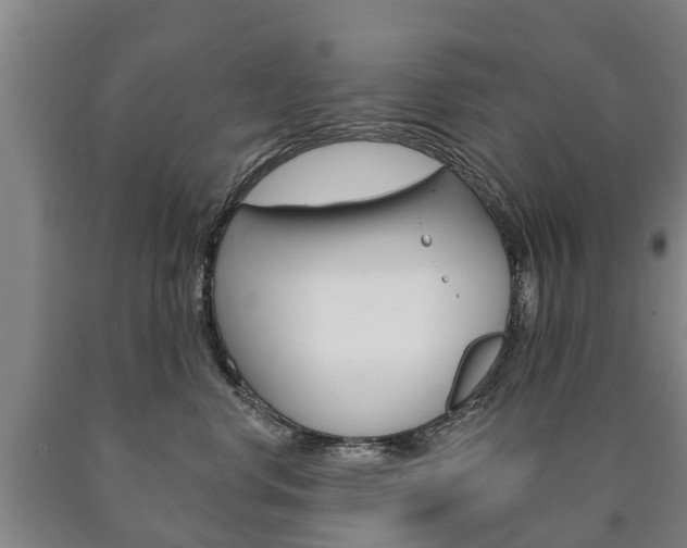 X0000090910668200707301034