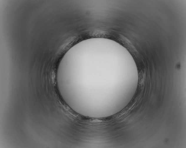 X0000090910669200707301034