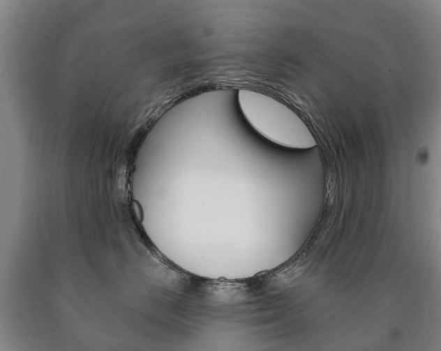 X0000090910670200707301034