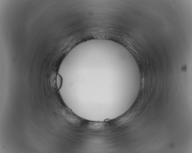 X0000090910671200707301034