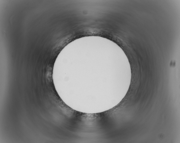 X0000090910672200707301034