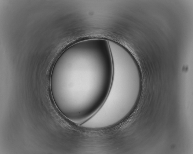X0000090910673200707301033