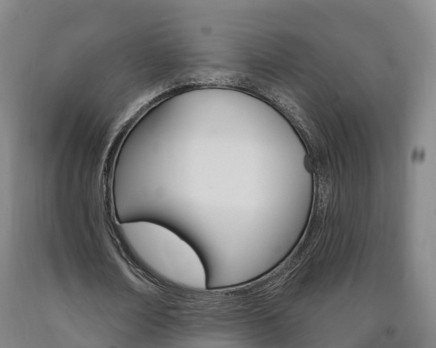 X0000090910674200707301033