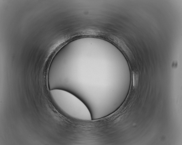 X0000090910675200707301033