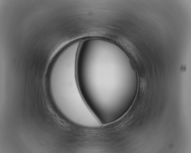 X0000090910676200707301033