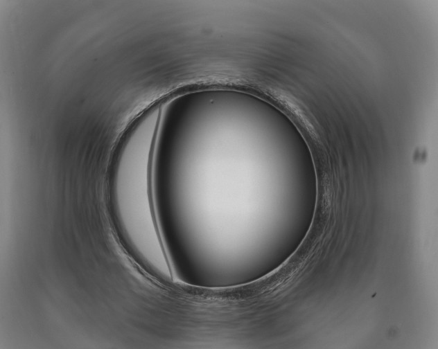 X0000090910677200707301033