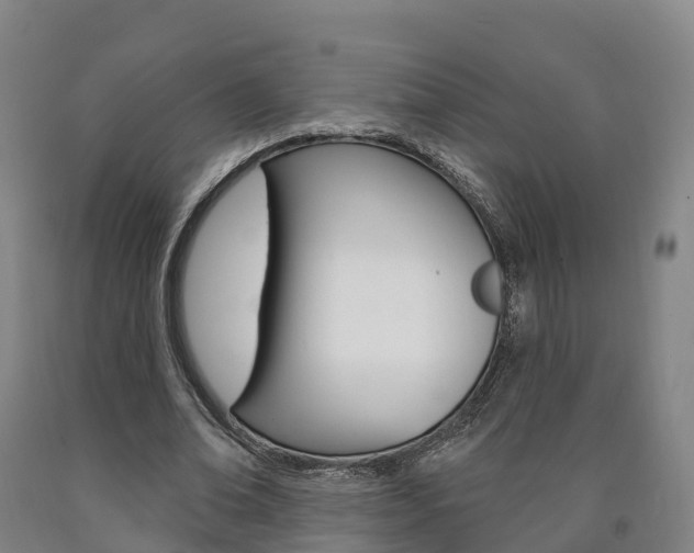 X0000090910678200707301033