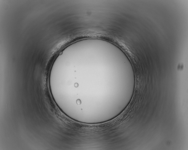 X0000090910679200707301033