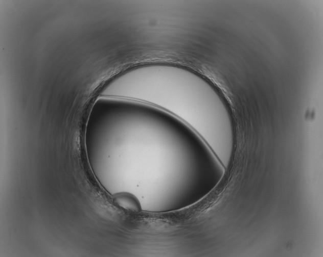 X0000090910681200707301033