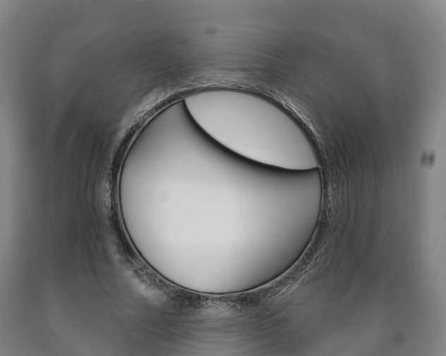 X0000090910682200707301033