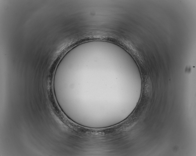 X0000090910683200707301033