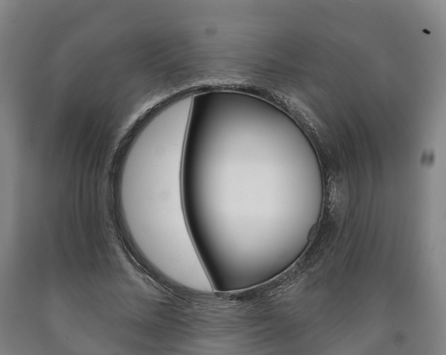 X0000090910684200707301033