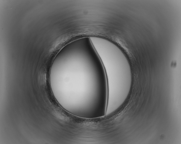 X0000090910685200707301033