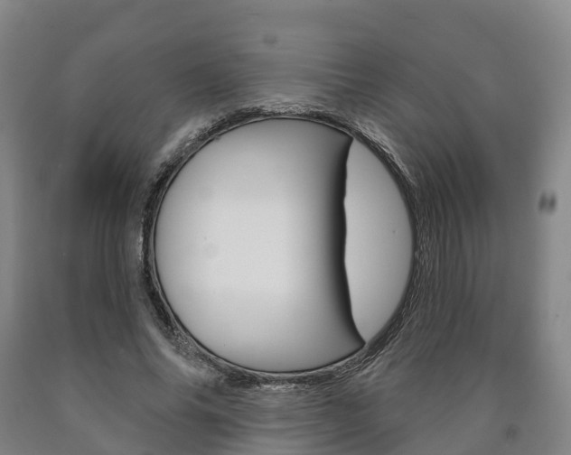 X0000090910686200707301033