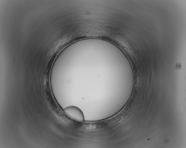 X0000090910687200707301033