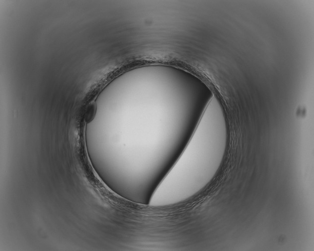 X0000090910688200707301033